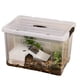 thumbnail image 1 of Caja de rotación de tortugas, tanque de alimentación for tortugas, mesa de secado al sol, cubierta de cinta transparente, 1 of 5