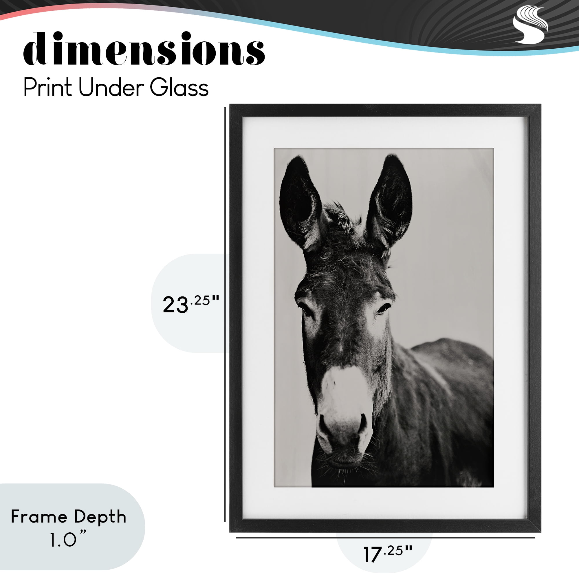 Stupell Industries Franz the Donkey Portrait Black Framed Print Under Glass, design by Amy Carroll