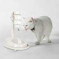 thumbnail image 5 of Automatic Pet Water Dispenser Bowl Adjustable Height Detachable Standing Water Feeder For Dogs Cats Indoor Use Durable, 5 of 7