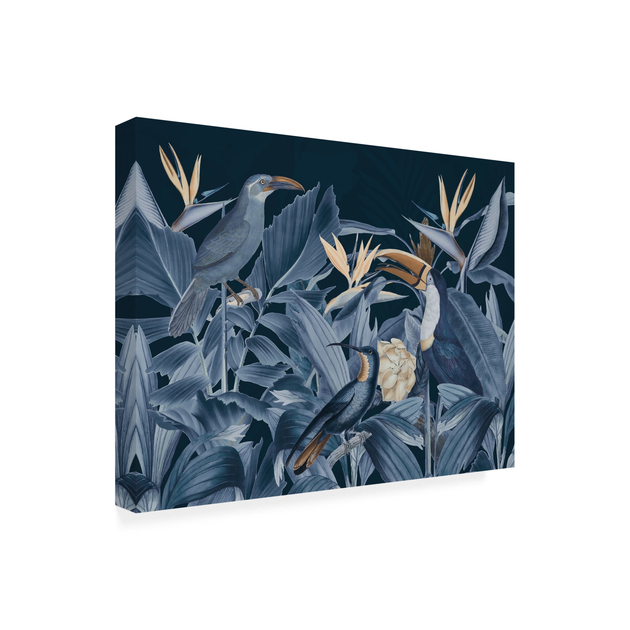 Trademark Fine Art Andrea Haase Rainforest Birds Blue Canvas Wall Art