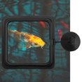 thumbnail image 4 of Fish Feeding Ring Fish Food Feeder, Fish Feeder, Non- Aquarium Pets For Fish  Animals, 4 of 8