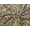 Baby Leopard, variant on Minerva Velboa Faux Fur Fabric Tiger - per yard