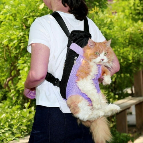Cat front carrier backpack Clearance