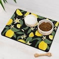thumbnail image 3 of Dog Feeding Mat, Dog Mat for Food and Water, Pet Dog Cat Bowl Mat, Non-Slip Super Absorbent Feeding Mat with Lemon Summer Fruits,16inx24in, 3 of 7