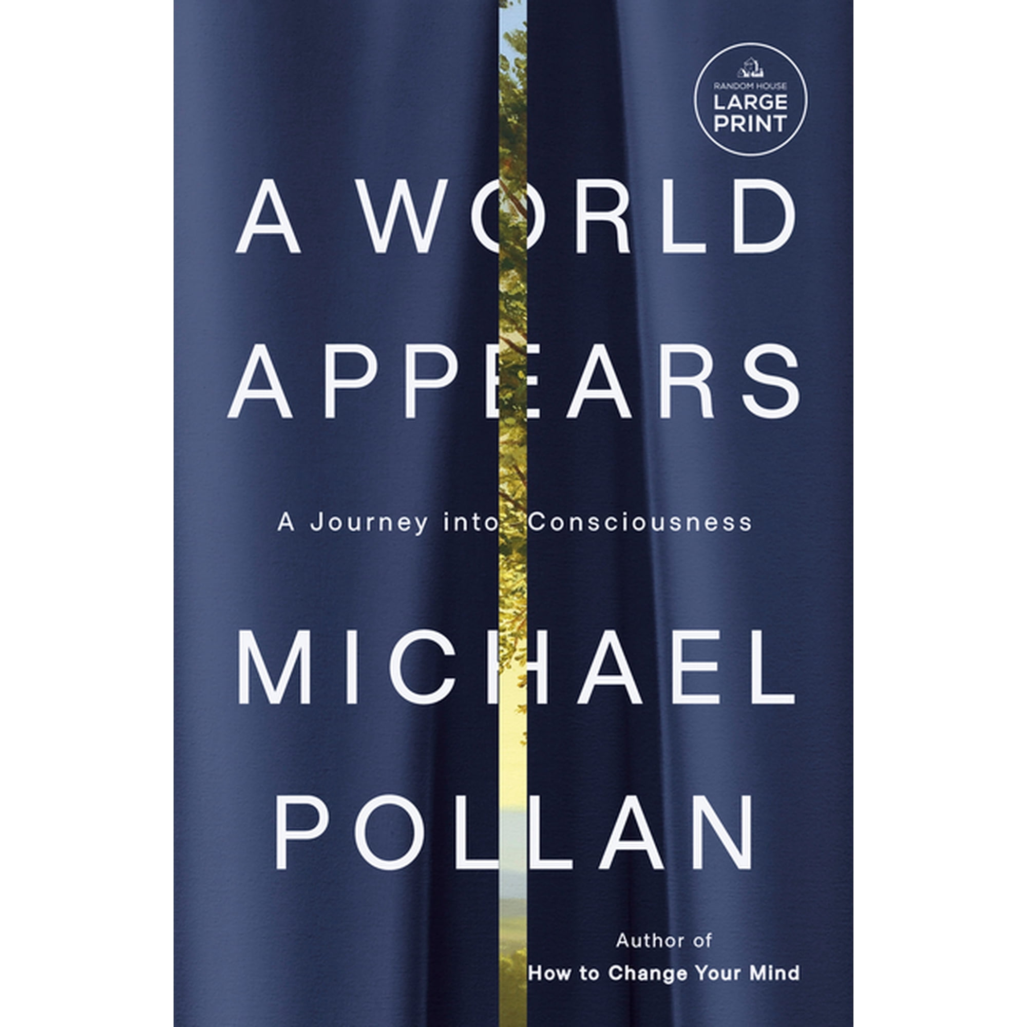 A World Appears: A Journey Into Consciousness (Paperback)