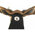 thumbnail image 5 of IH Casa Decor Polyresin Moose Head Emperor 23.5", 5 of 5