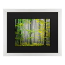 Trademark Fine Art 'Sugar Low' Canvas Art by Philippe Sainte-Laudy