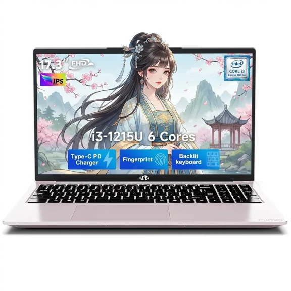 17.3" IPS FHD Laptop, Intel 6-Core i3-1215U (Up to 4.4GHz) 8GB RAM 256GB SSD with Intel UHD Graphics, 65W Type-C, Backlit Keyboard, Fingerprint, Wi-Fi 6, for School and Business