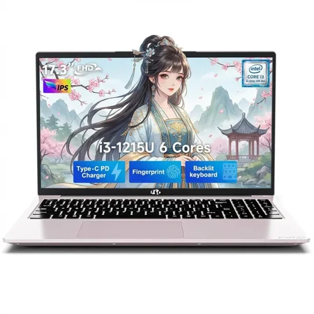 17.3" IPS FHD Laptop, Intel 6-Core i3-1215U (Up to 4.4GHz) 8GB RAM 256GB SSD with Intel UHD Graphics, 65W Type-C, Backlit Keyboard, Fingerprint, Wi-Fi 6, for School and Business