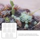 thumbnail image 3 of unbranded 8Ud Cubierta Transparente De Plástico Para Plantas Protector De Humedad Para Uso En Jardín Y Hogar, 3 of 8