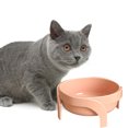 thumbnail image 4 of LiMimmuu Pet Bowl BPA-free Bowl Elevated Pet Bowl Pet Bowl Large Capacity Dog Food Container with Non-Slip Base Elevated Design Water Drinking Bowl for Small Pets, 4 of 7