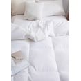 thumbnail image 4 of Royal Elite All-Season Canadian Brome down Duvet, 4 of 5