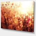 thumbnail image 2 of Brown Shade Flowers in Sunshine - Large Flower Canvas Art Print, 2 of 3