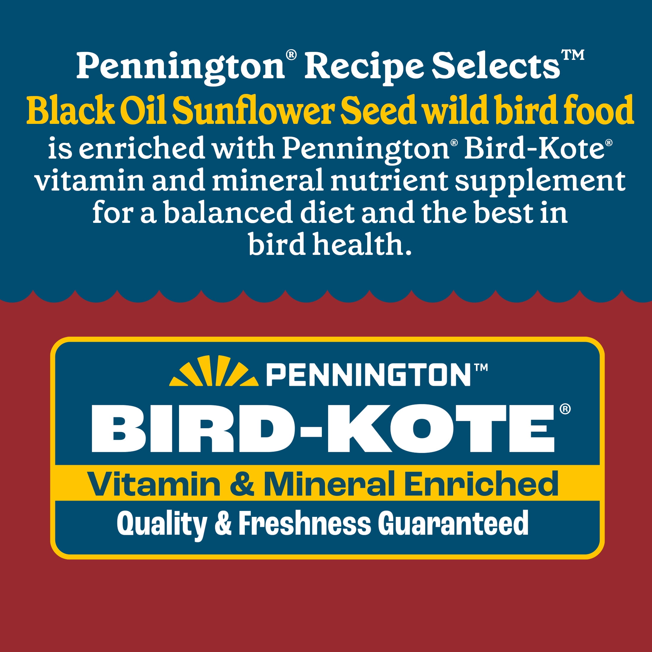 Pennington Recipe Selects Black Oil Sunflower Seed Dry Wild Bird Feed, Bird Food, 20 lb. Bag, 1 Pack