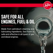 Sea Foam SF-16 Motor Treatment Fuel Additive Automotive Additive Can, 16 Ounce (3 Pack)