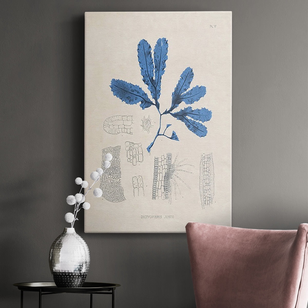 Blue Marine Algae VII Premium Gallery Wrapped Canvas - Ready to Hang
