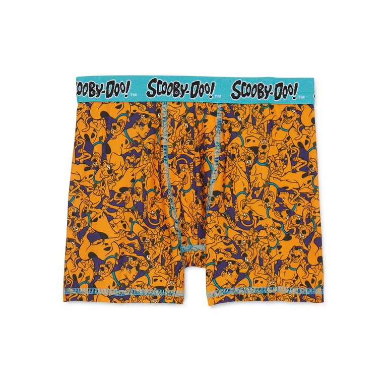 Scooby Doo Boxer Briefs Underwear Boys X-Small Size 4 Cute 4-Pack Cartoon  Gift