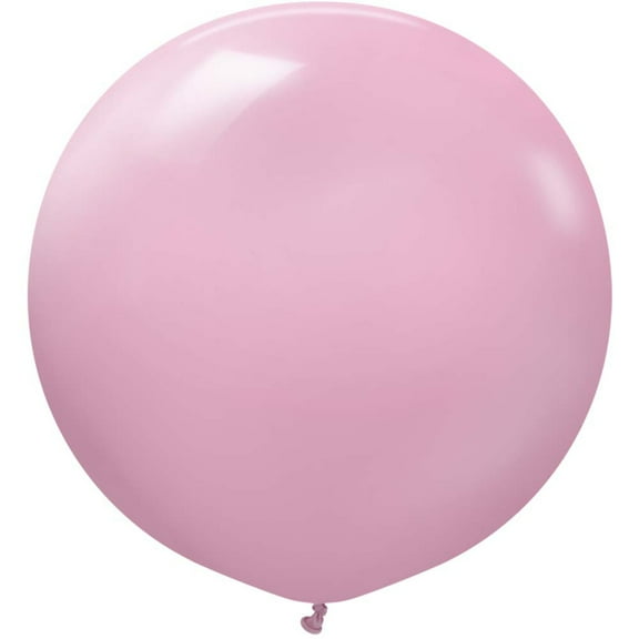 24 inch Kalisan Retro Dusty Rose Latex Balloons (2 Pack) - Party Supplies Decorations