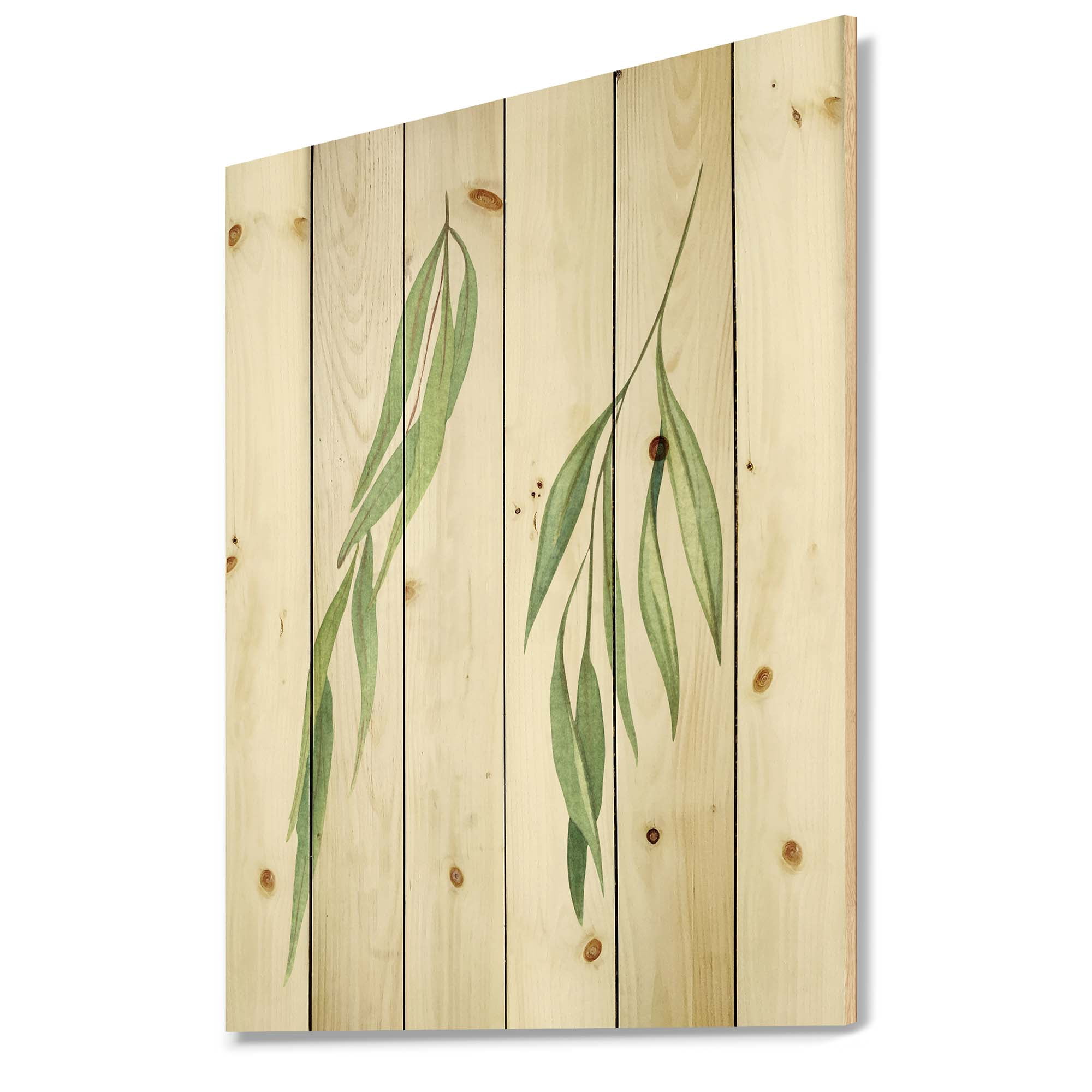 Designart 'Two Willow Branches On White' Farmhouse Print on Natural Pine Wood