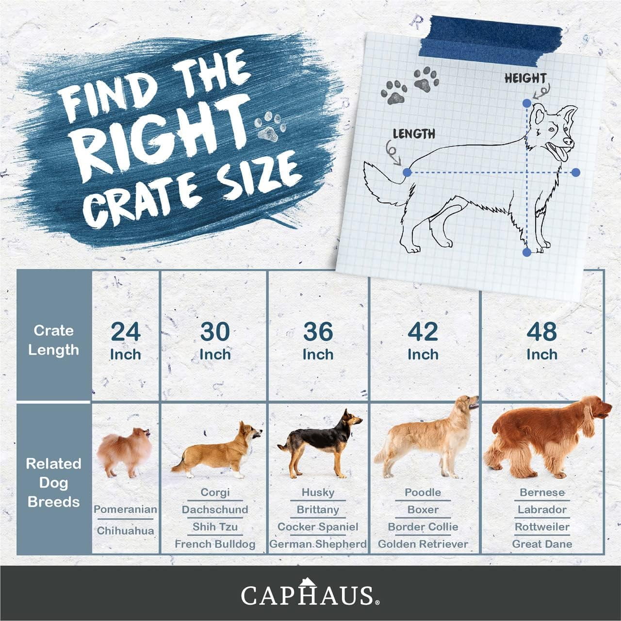 CAPHAUS Foldable Dog Crate Wire Metal Dog Kennel w/ Leak-Proof Pan & Protecting Feet & Divider Panel, Single or Double Door, Small, Medium & Large Dog Crate Indoor Wire Dog Cage, 30” w/ Single Door
