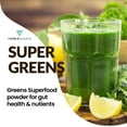 thumbnail image 4 of Visible Science Super Greens Powder –  Superfoods for Detox, Energy & Immunity, 30 scoops, 1 Jar, 4 of 9