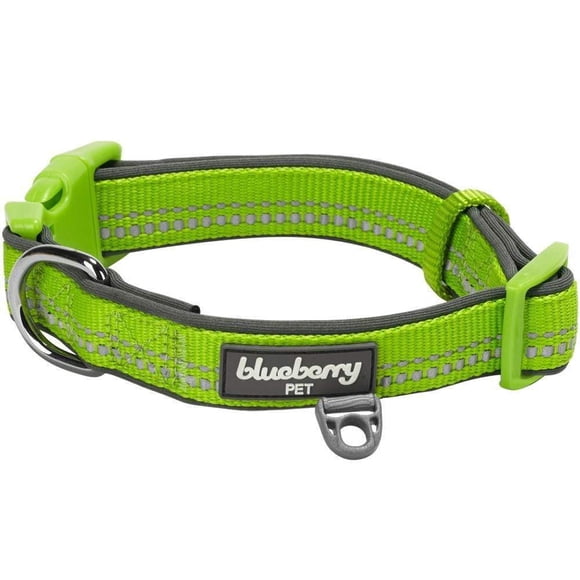 Collar de perro Blueberry Pet ajustable para perros pequeños, color verde