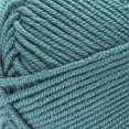 thumbnail image 2 of Caron® Simply Me Merino™ #3 DK (Light) Blend Yarn, Turquoise Sea 3.5oz/100g 215 Yards (3 Pack), 2 of 8