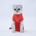 thumbnail image 5 of Traje de recuperación para gatos, camisa para perros y gatos después de una cirugía, ropa protectora para evitar que se laman, para cachorros, gatos, machos y hembras, 5 of 5