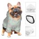 thumbnail image 3 of Balery Retro Snake Sudadera con Capucha para Perros Pequeños – Ropa para Mascotas, Disfraz para Perros y Gatos, Ideal para Fiestas y Cosplay-Small, 3 of 7