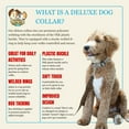 thumbnail image 5 of Country Brook Petz® Cow Print Everyday Dog Collar - Made in the USA, Extra Small, 5 of 7