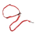 thumbnail image 5 of LucyBelle Pets Hands-Free Running Dog Leash - Blue, 5 of 5