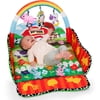 Infantino Farm Puppet Gym