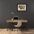 thumbnail image 3 of David Johnson 24x17 Black Ornate Framed Double Matted Museum Art Print Titled: Three Pears and an Apple (1857), 3 of 5