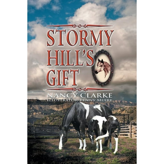 Stormy Hill's Gift, (Paperback)