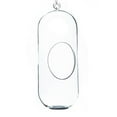 thumbnail image 1 of 12 x 4 in. Clear Cylindrical Hanging Glass Terrarium & Candle Holder, 1 of 1