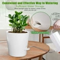 thumbnail image 6 of Fabulas Self Watering Planters, 5/5.5/6/6.5/7 Inch Self Watering Plant Pots for Indoor and Outdoor Plants, 5 Pack, 6 of 7