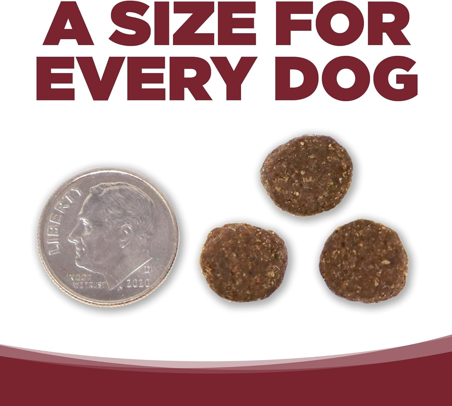 NutriSource Beef  Rice Recipe with Wholesome Grains Dry Dog Food, 4LB