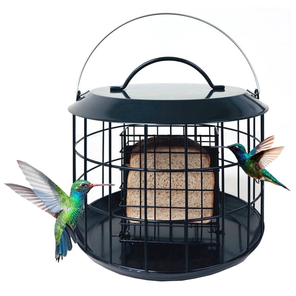 Elegant Outdoor Around All-Metal Double Suet Capacity Feeder Hanging Cage Deep Tray Weatherproof Solid Top Cover Squirrel Proof