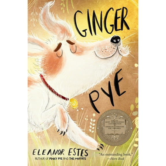Ginger Pye, (Paperback)