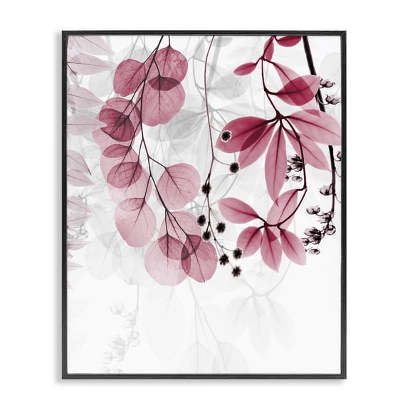 Stupell Industries Contemporary Modern Pink Botanical Leaves Black Framed Giclee Art, 11 x 14, by Albert Koetsier