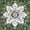 Green, variant on MeyJey Oriental Indoor Living Room Area Rug 2'x3', Non-Slip Machine Washable Vintage Floor Carpet for Bedroom Dining Kitchen Hallway, Green