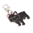 thumbnail image 1 of Llavero de de perro Etiqueta de identificación de mascota Accesorio de metal Colgante - # 9, se describe, 1 of 8