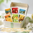 thumbnail image 5 of SCENTORINI Summer Wax Melts, 6 Multi-Scent Wax Cubes for Warmer, Essential Fragrance Wax Tarts for Home, 5 of 9
