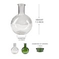 thumbnail image 5 of Serene Spaces Living Clear Bottleneck Bulb Glass Vase, 5.3" Dia & 7.48" Tall, 5 of 6
