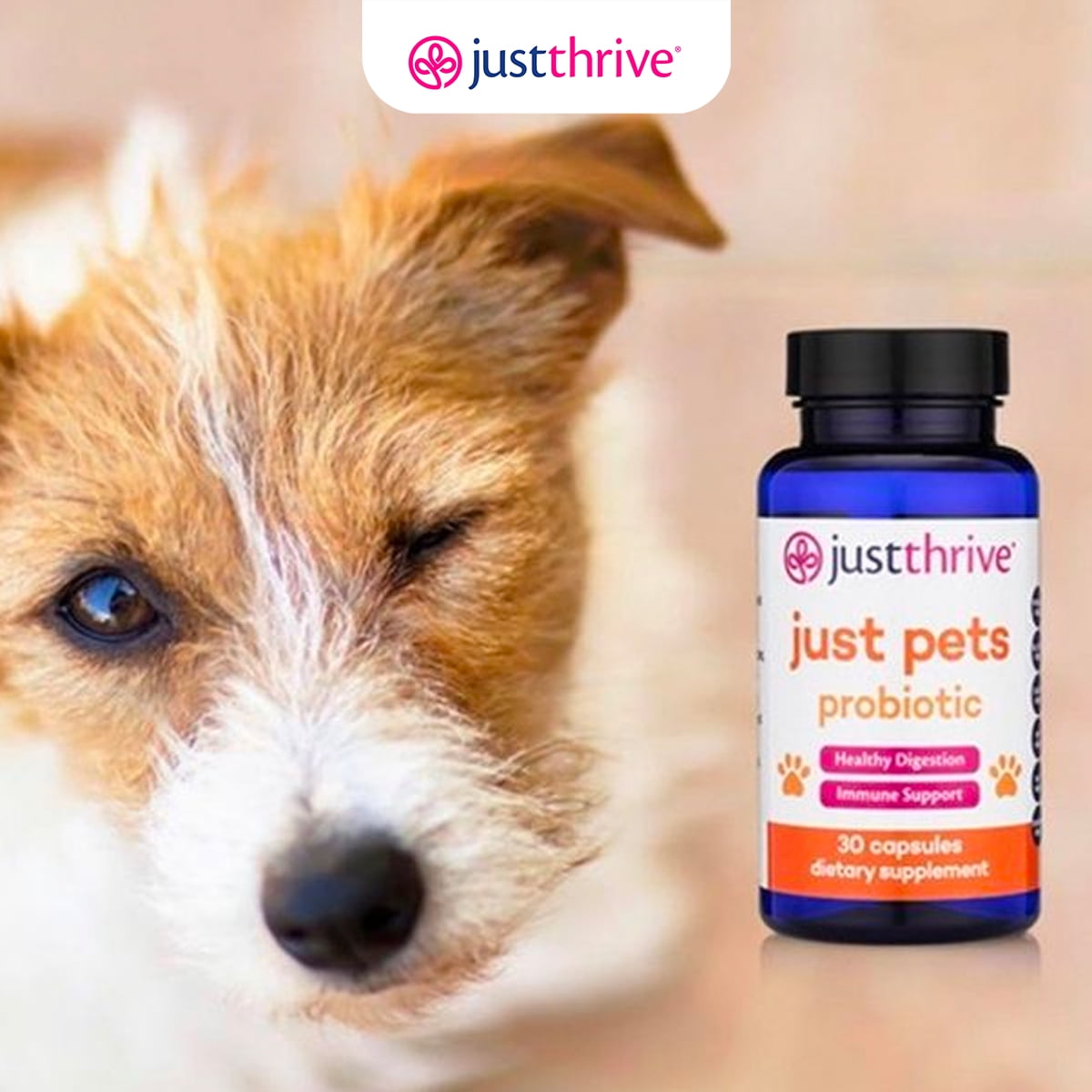 Buy Just Thrive Just Pets Probiotic 30 Capsules, 8 oz Daily