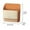 Orange, variante sur XYAIYT Ensemble Portable de Mini Porte-Poussière et Brosse pour Bureau et Chambre Solution de Nettoyage Murale Efficace avec Poils à Haute Densité pour Interstices de Fenêtre de Bureau Cuisine