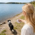 thumbnail image 6 of Retractable Dog Leash - 10.5cm Compact Design, 3M Strong Nylon Tape, One-Button Lock, for Small to Medium Dogs (White), 6 of 7