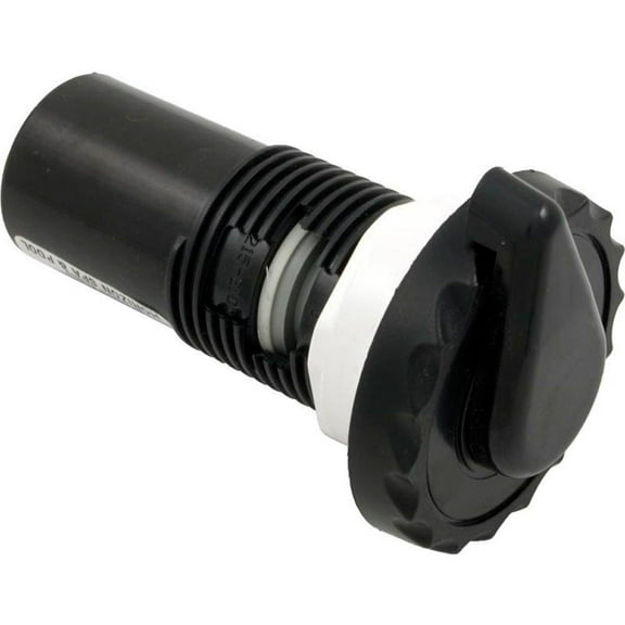 Waterway Plastics 660-3561 1 in. Air Control Valve, White