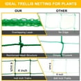 thumbnail image 3 of Garden Trellis for Outdoor Climbing Plants, Trellis Mesh for Cucumbers, Tomatoes, Plant Trellis as a Vegetable Trellis for Grapes, Beans, Planting Peas, with Plant Clips/5.9x8.9 FT (27 Strands), 3 of 6