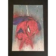thumbnail image 3 of Amazing Spider-Man #1 Comic Book, 3 of 4